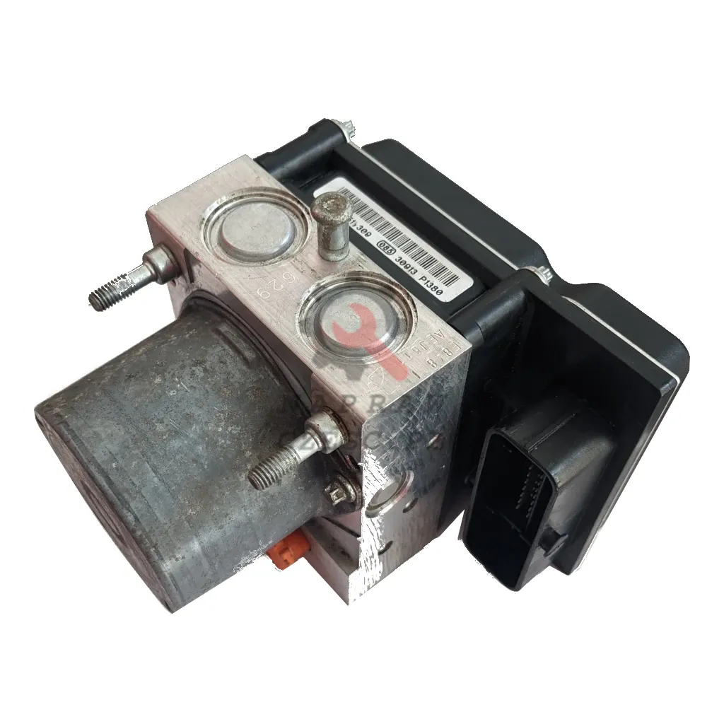 Regeneration / Reparatur ABS-Pumpe - 55LA - 55LA