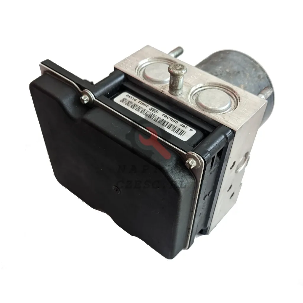 Regeneration / Reparatur ABS-Pumpe - 55LA - 55LA