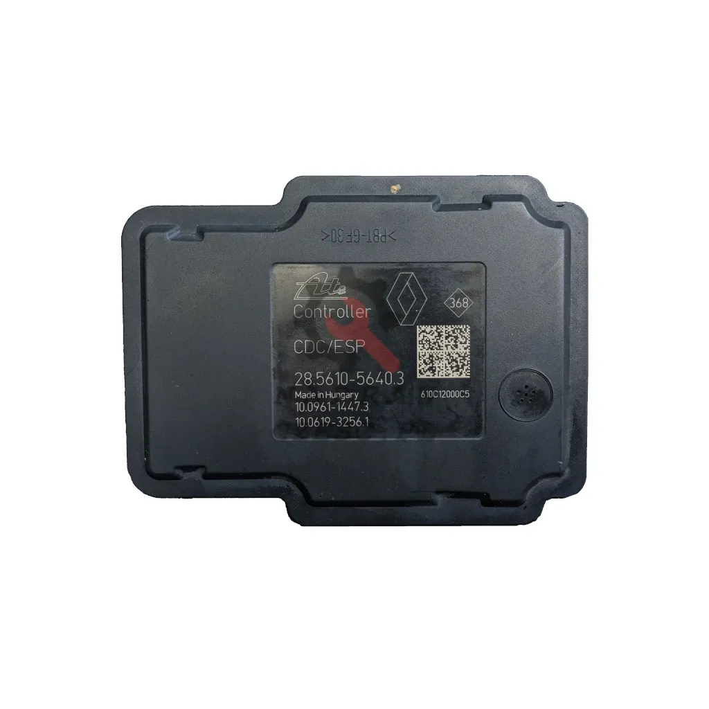 Regeneration / Reparatur ABS-Pumpe - 10.0613-3339.3 - 10061333393